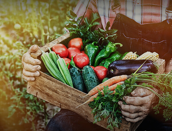 a basket full of fresh vegetables